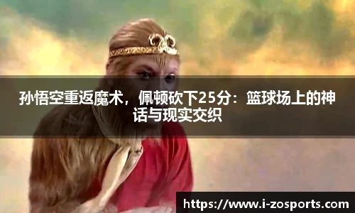 中欧体育官网