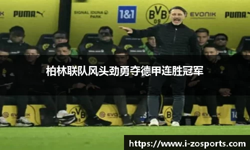 中欧体育