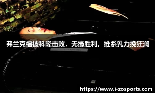 中欧体育