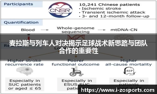 中欧体育官网