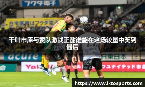 中欧体育