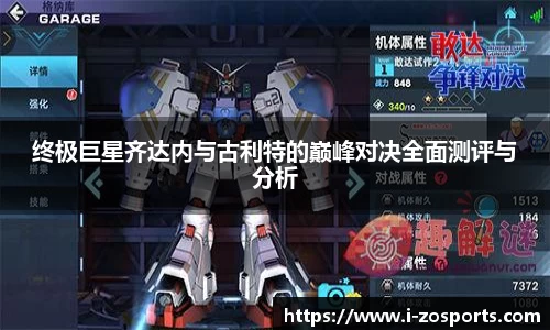 中欧体育