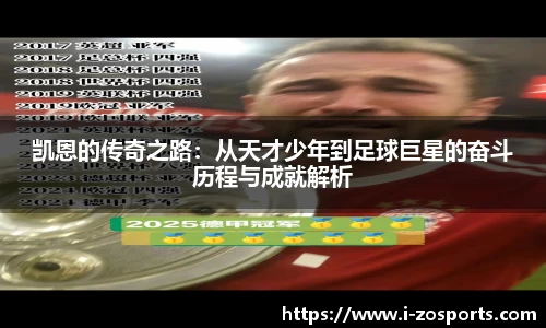 中欧体育官网
